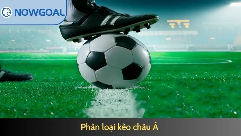 Phân loại kèo châu Á